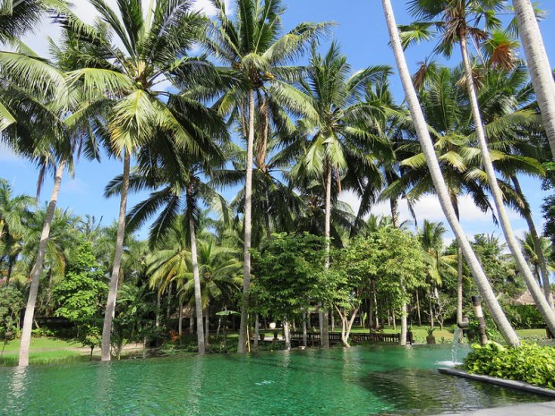 28483490573_3523e62654_c