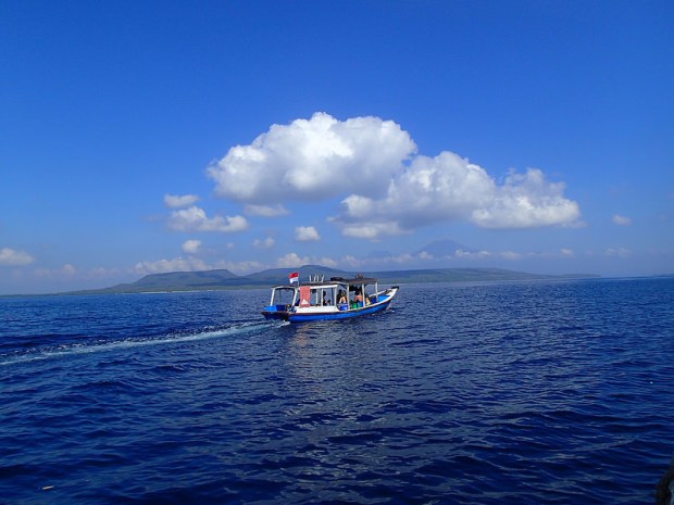 28895471566_1460233808_c