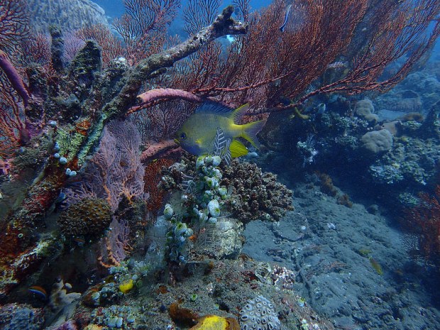 28964463205_ebd51cc157_c