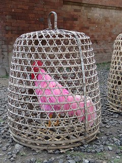 28979333831_b7d9406c43_n