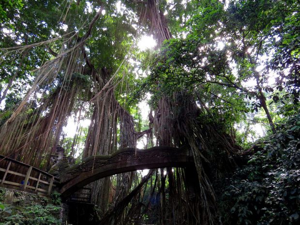 28996760352_dce6407dc5_c