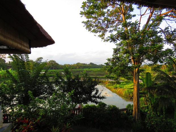 28999339242_732e97fbe4_c