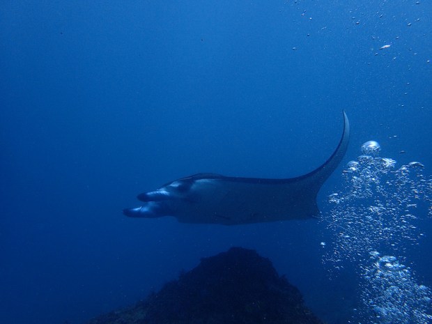 29013819986_5d3a0c149f_c