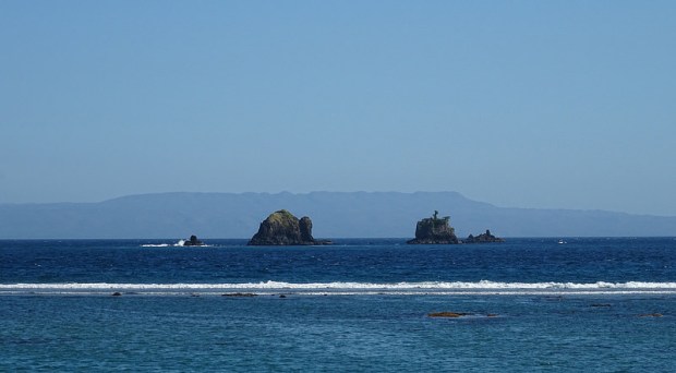 29023471685_d96899aa82_c