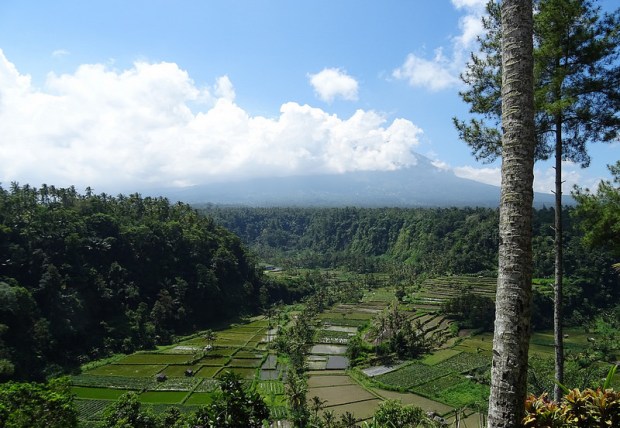 29023479545_182d0115a8_c