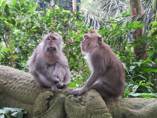 29024802101_c113013f1a_c