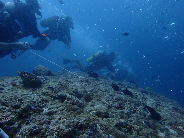 30447553375_3074dc77ee_z