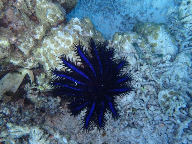 unadjustednonraw_thumb_9bea