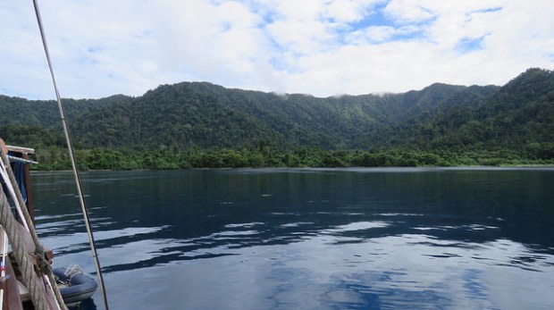 32243599464_6cea57cc66_z