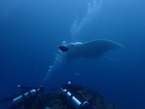 UNADJUSTEDNONRAW_thumb_a812