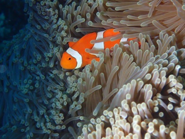 UNADJUSTEDNONRAW_thumb_a994