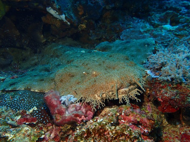 UNADJUSTEDNONRAW_thumb_a9a9