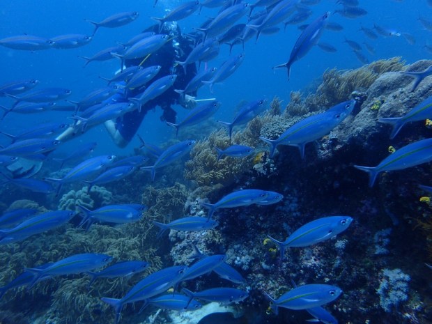 UNADJUSTEDNONRAW_thumb_a9bc