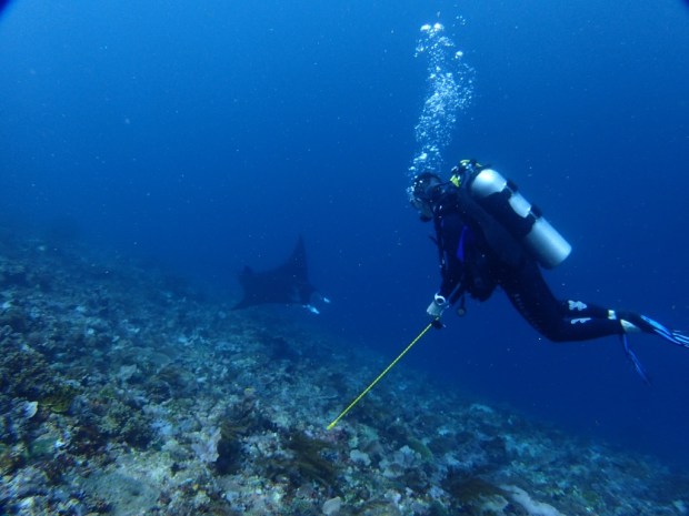 UNADJUSTEDNONRAW_thumb_a9fe