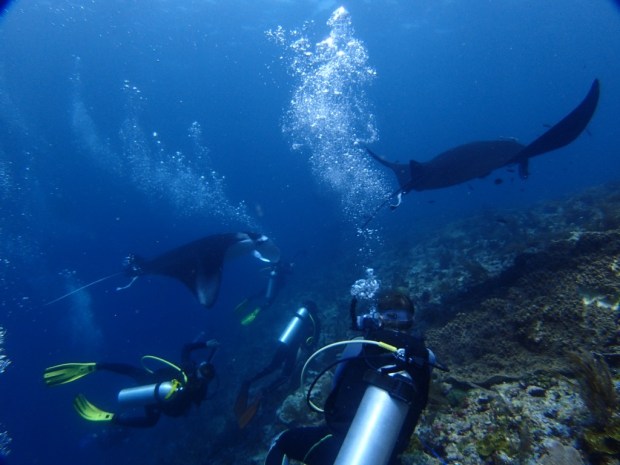 UNADJUSTEDNONRAW_thumb_aac7