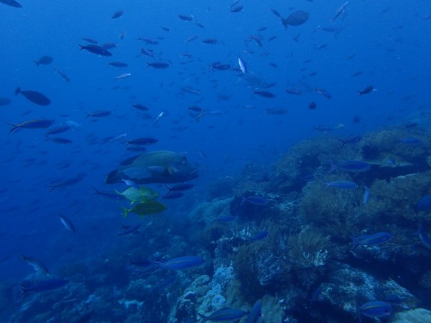 UNADJUSTEDNONRAW_thumb_abe8