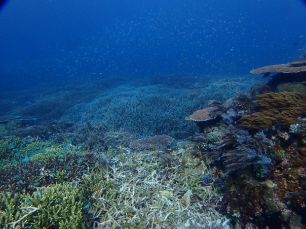 UNADJUSTEDNONRAW_thumb_abfb