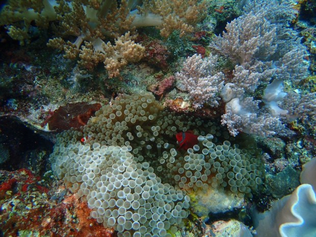 UNADJUSTEDNONRAW_thumb_ae1a