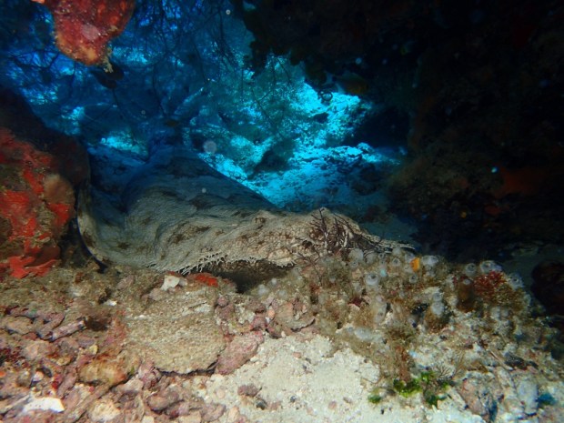 UNADJUSTEDNONRAW_thumb_ae89