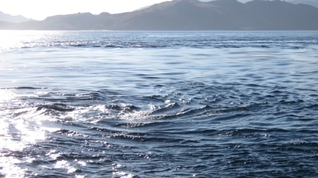 UNADJUSTEDNONRAW_thumb_b544