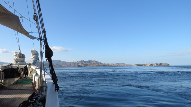 UNADJUSTEDNONRAW_thumb_b550