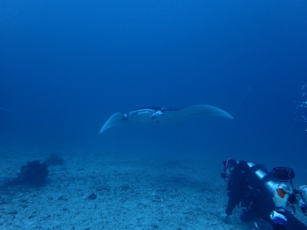 UNADJUSTEDNONRAW_thumb_bae8