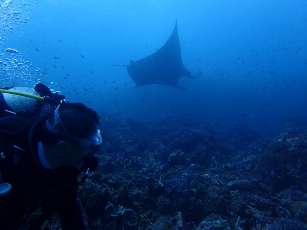 UNADJUSTEDNONRAW_thumb_bb2e