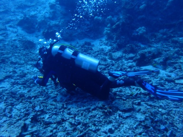 UNADJUSTEDNONRAW_thumb_bc6f