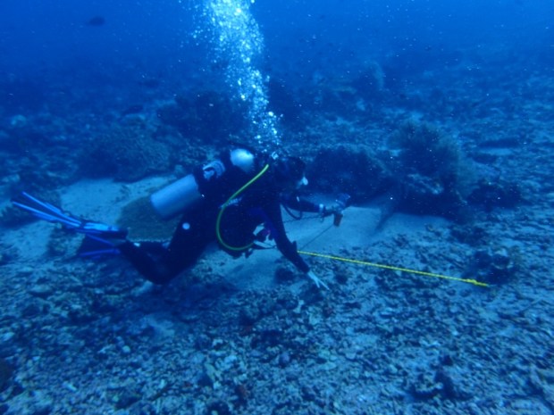 UNADJUSTEDNONRAW_thumb_bc7d