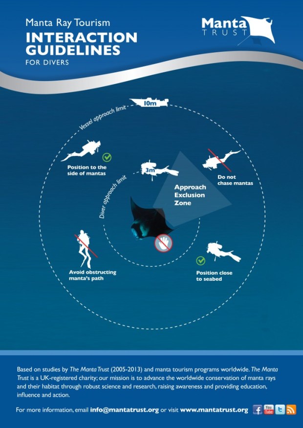 MT_Code_of_Conduct_divers_FINAL-724x1024