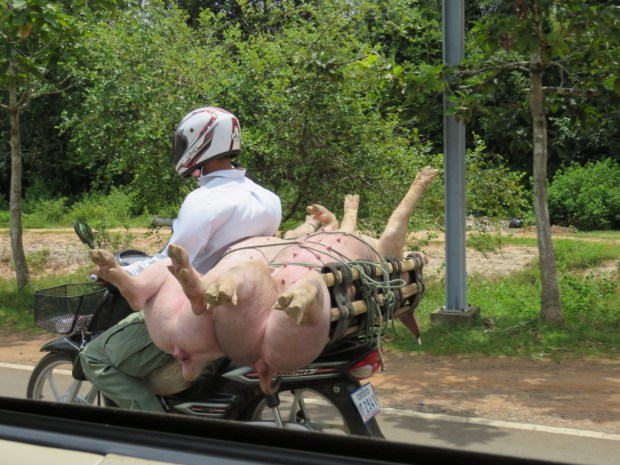 UNADJUSTEDNONRAW_thumb_b090