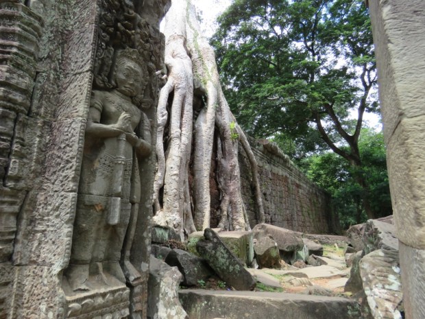 UNADJUSTEDNONRAW_thumb_b170