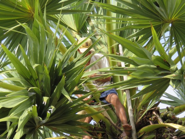 UNADJUSTEDNONRAW_thumb_b18b