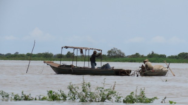 UNADJUSTEDNONRAW_thumb_b230