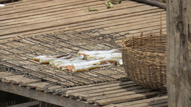 UNADJUSTEDNONRAW_thumb_b244