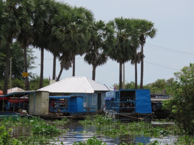 UNADJUSTEDNONRAW_thumb_b263