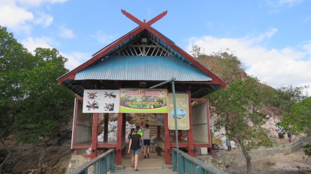 UNADJUSTEDNONRAW_thumb_b381