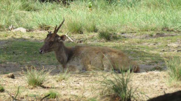 UNADJUSTEDNONRAW_thumb_b384