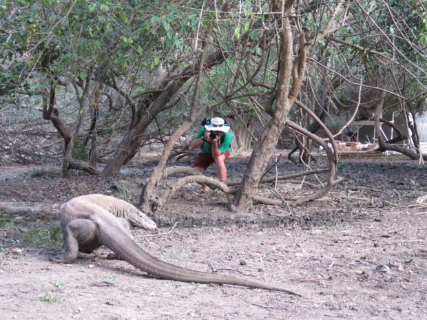 UNADJUSTEDNONRAW_thumb_b3ba