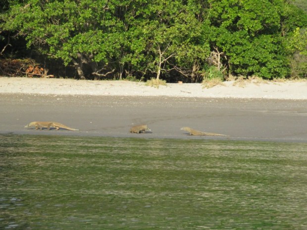 UNADJUSTEDNONRAW_thumb_b47f