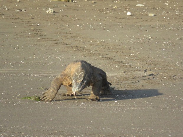 UNADJUSTEDNONRAW_thumb_b485