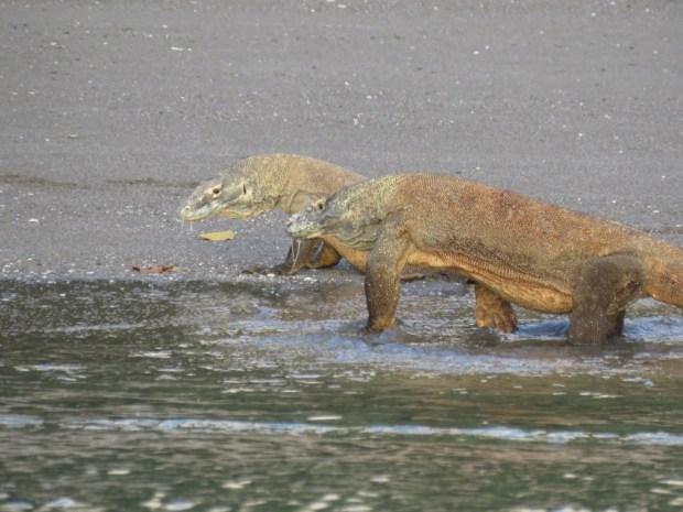 UNADJUSTEDNONRAW_thumb_b4bd