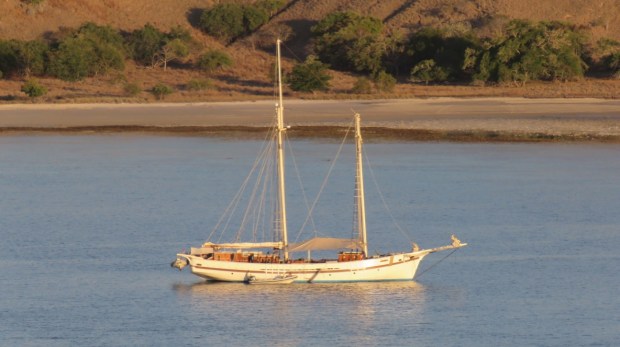 UNADJUSTEDNONRAW_thumb_b56f