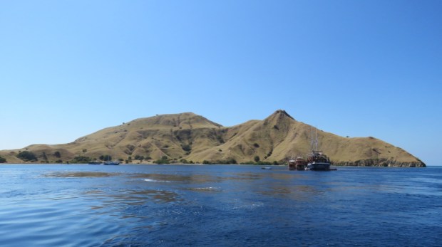 UNADJUSTEDNONRAW_thumb_b58b