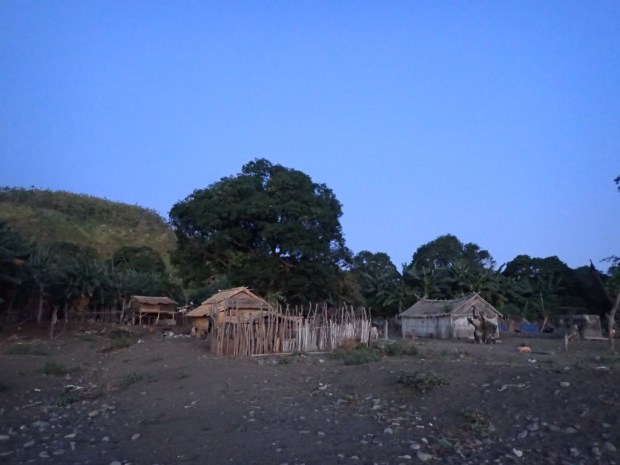 UNADJUSTEDNONRAW_thumb_b784