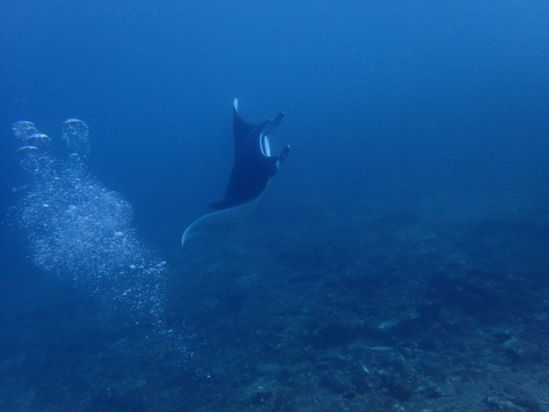 UNADJUSTEDNONRAW_thumb_b8aa