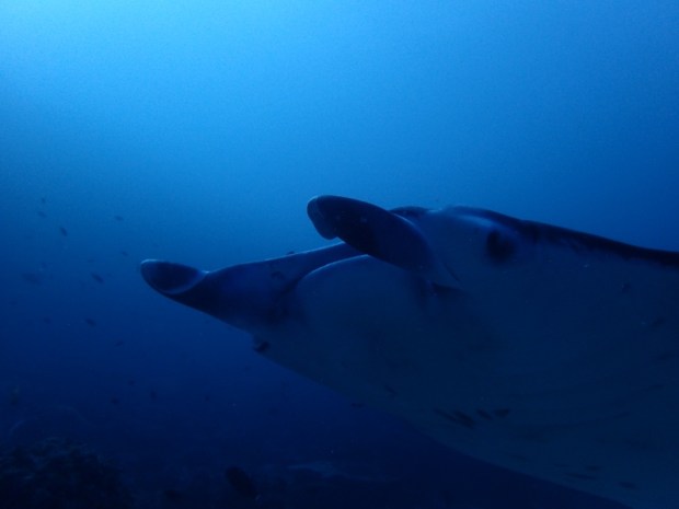 UNADJUSTEDNONRAW_thumb_baab