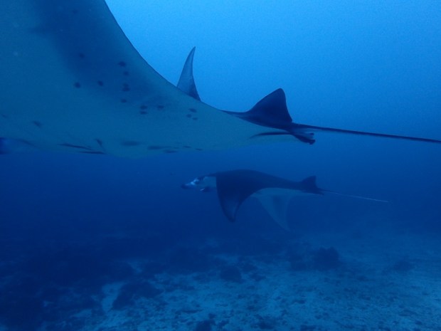 UNADJUSTEDNONRAW_thumb_baed