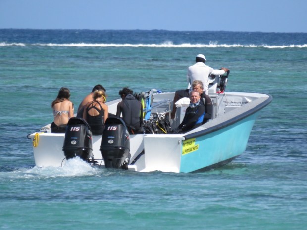 UNADJUSTEDNONRAW_thumb_c05a