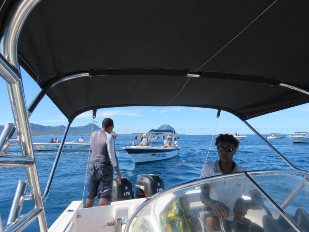 UNADJUSTEDNONRAW_thumb_c08d